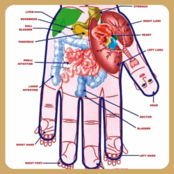 course-image