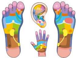 course-image