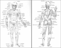 course-image