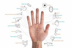 course-image